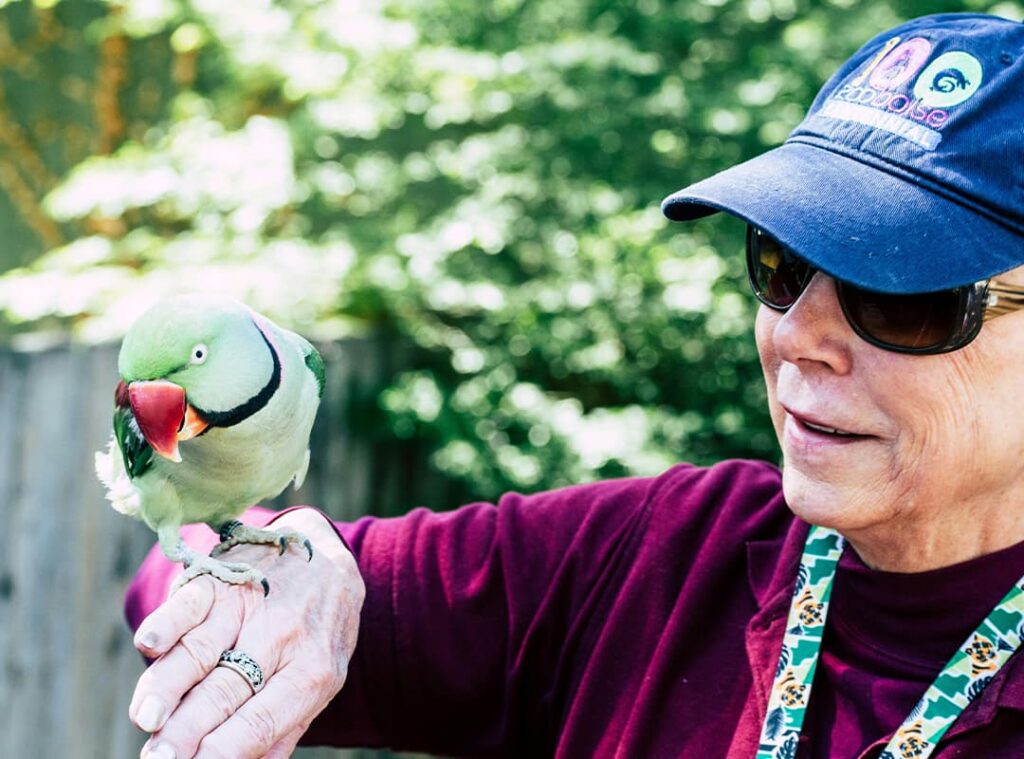 How to Get a Much-Needed Rest at Animal Kingdom: Relax and Recharge Amid the Wilderness